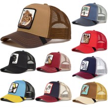 Dress, hat and shoes DHS22046